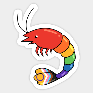 Pride Shrimp Sticker